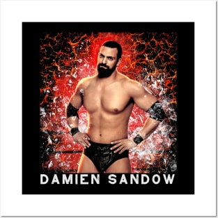 Damien Sandow Posters and Art